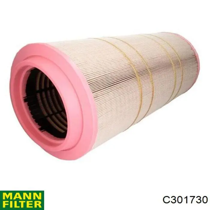 El filtro de aire Mann-Filter C301730 precio, desde 91,61 EUR