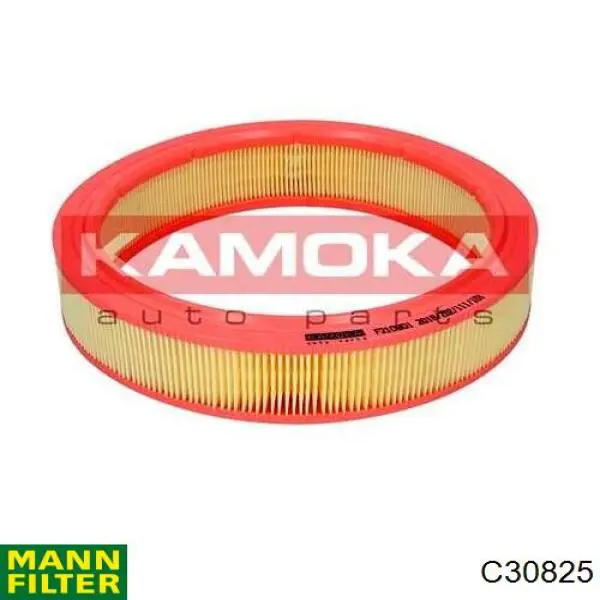 A1106 Purflux Filtro de aire de motor