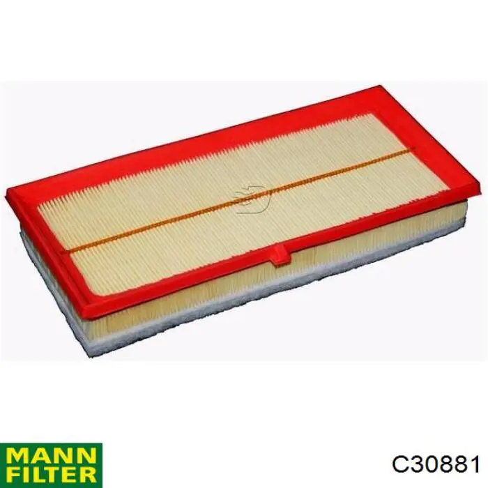 C30881 Mann-Filter filtro de aire