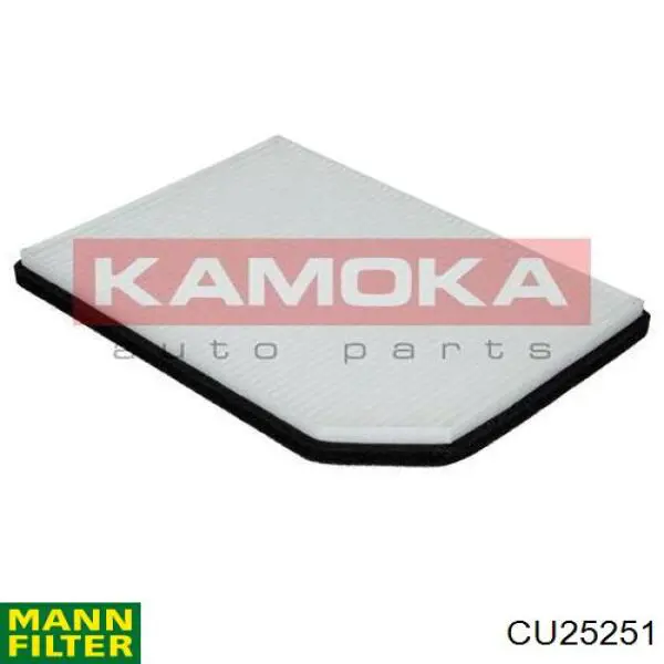 Filtro de habitáculo 7700835266 Renault (RVI)