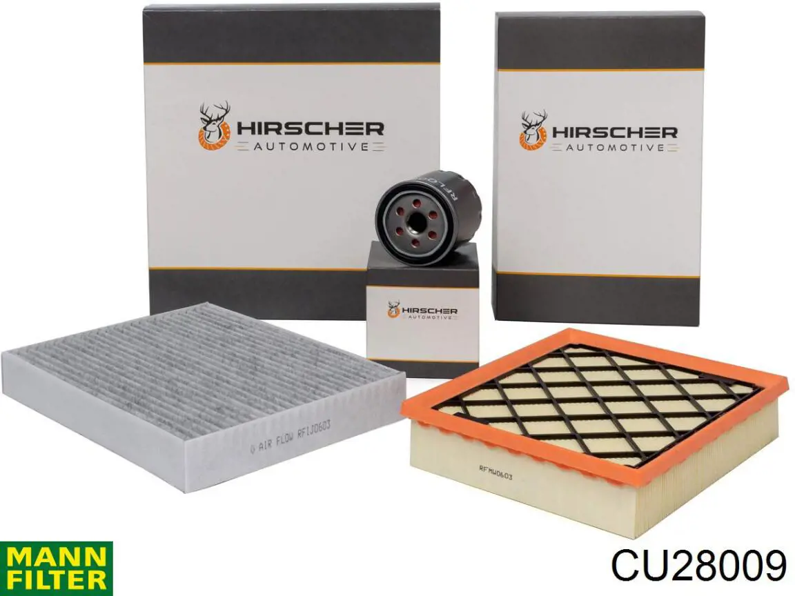 Filtro de polen Ford JX6Z19N619B
