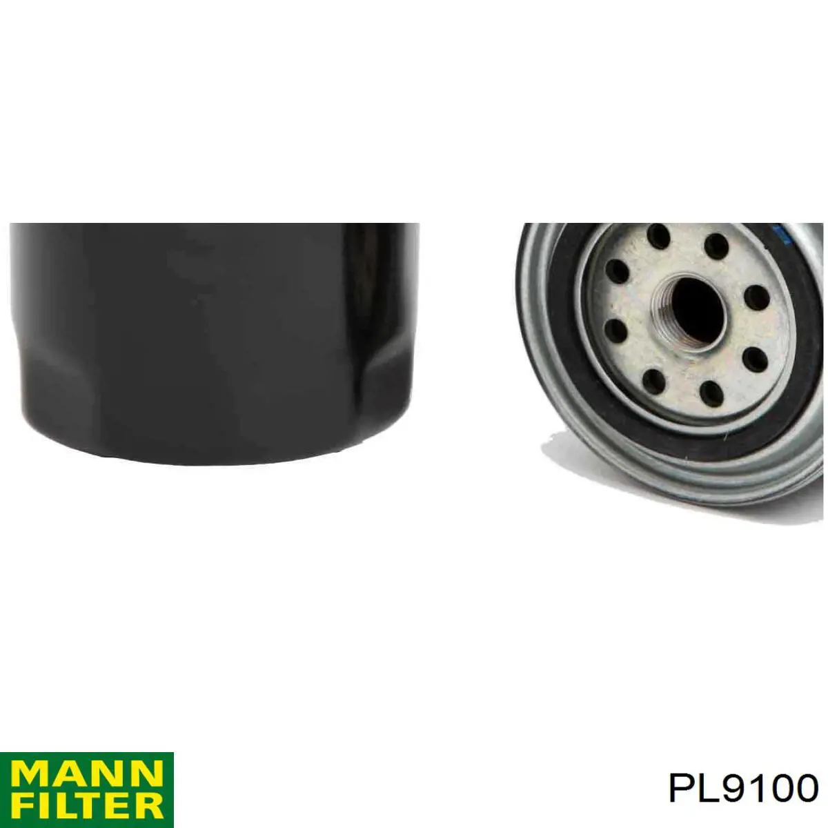 Filtro combustible Mann-Filter PL9100 precio, desde 60,79 EUR