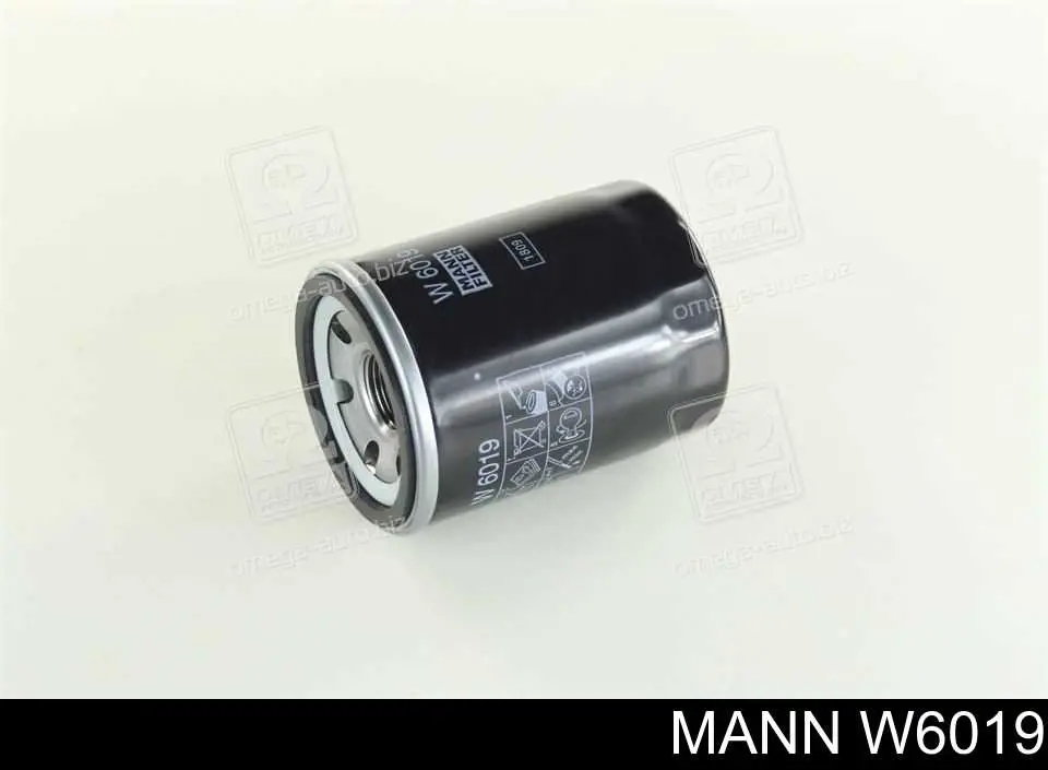 W6019 Mann-Filter Filtro aceite