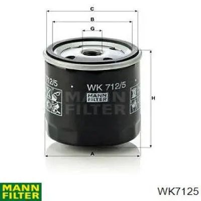 Filtro de combustible 9011807C Webasto