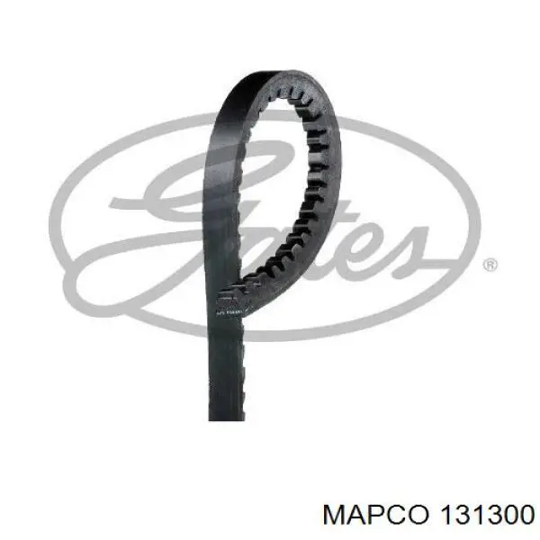 Correa de transmisión trapezoidal INA FB13X1300 precio, desde 5,79 EUR