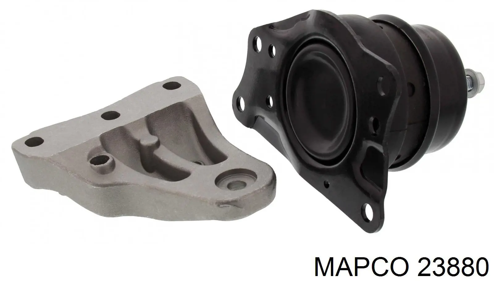Tensor de la correa de distribución Rider 21051006124 precio, desde 14,01 EUR