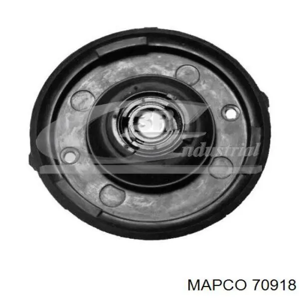 30666204 Volvo Muelle delantero