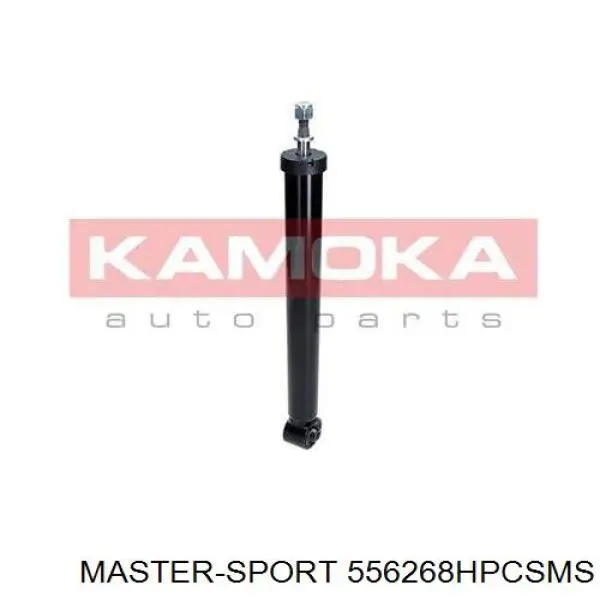 556268HPCSMS Master-sport