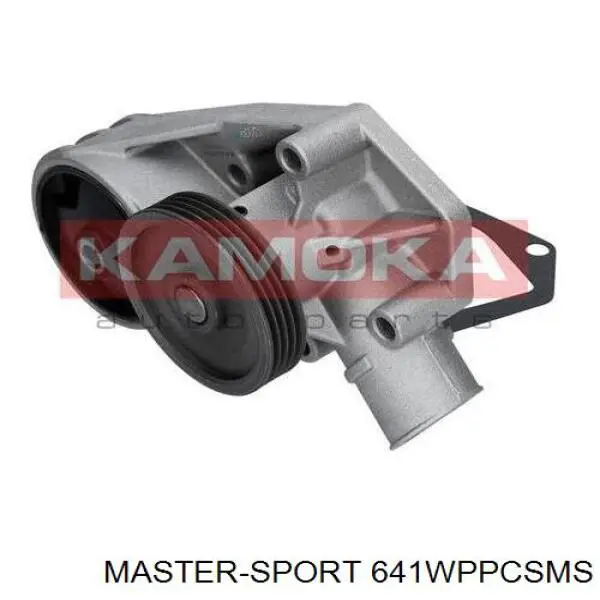 641WPPCSMS Master-sport bomba de agua