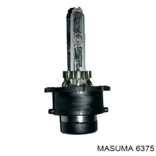 6375 Masuma correa trapezoidal