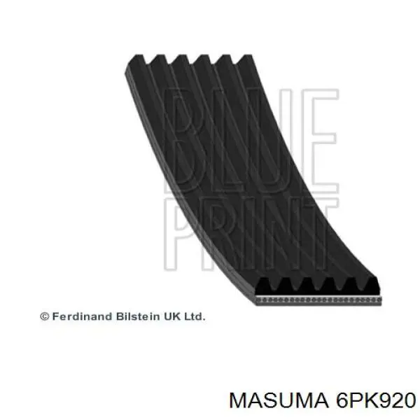 6PK920 Masuma Correa poly v