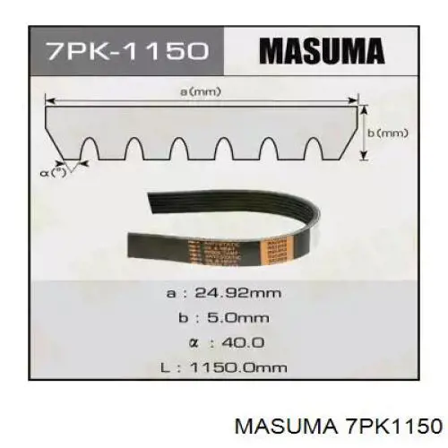 7PK1150 Masuma Correa poly v