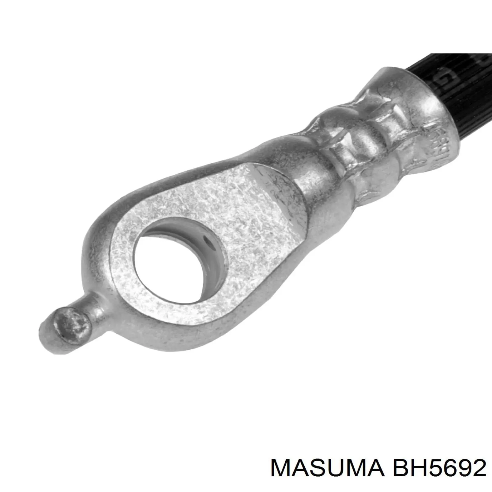 BH-569-2 Masuma tubo flexible de frenos delantero izquierdo