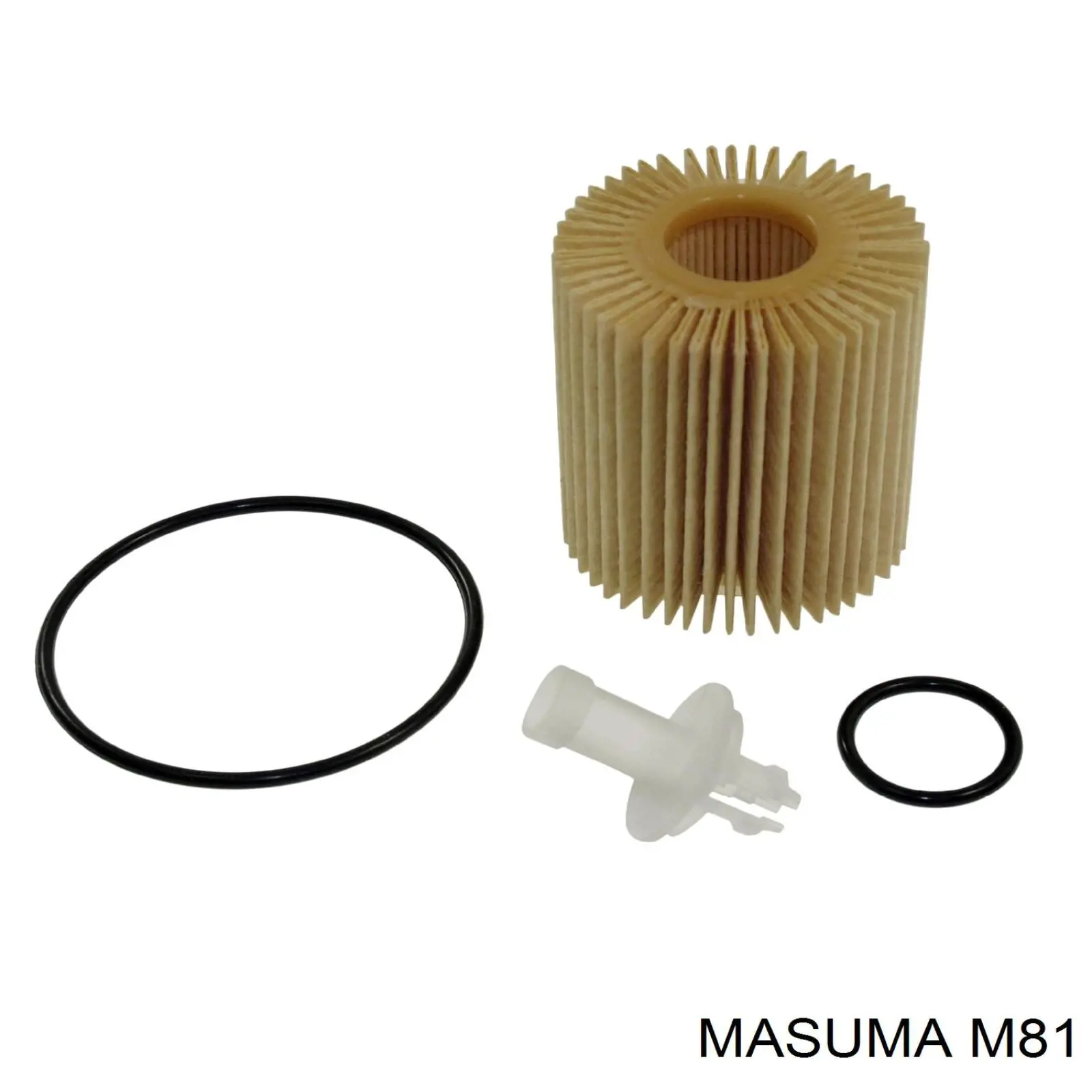  M81 Masuma