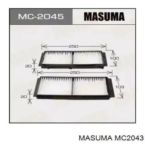 AC2904 JS Asakashi Filtro antipolen