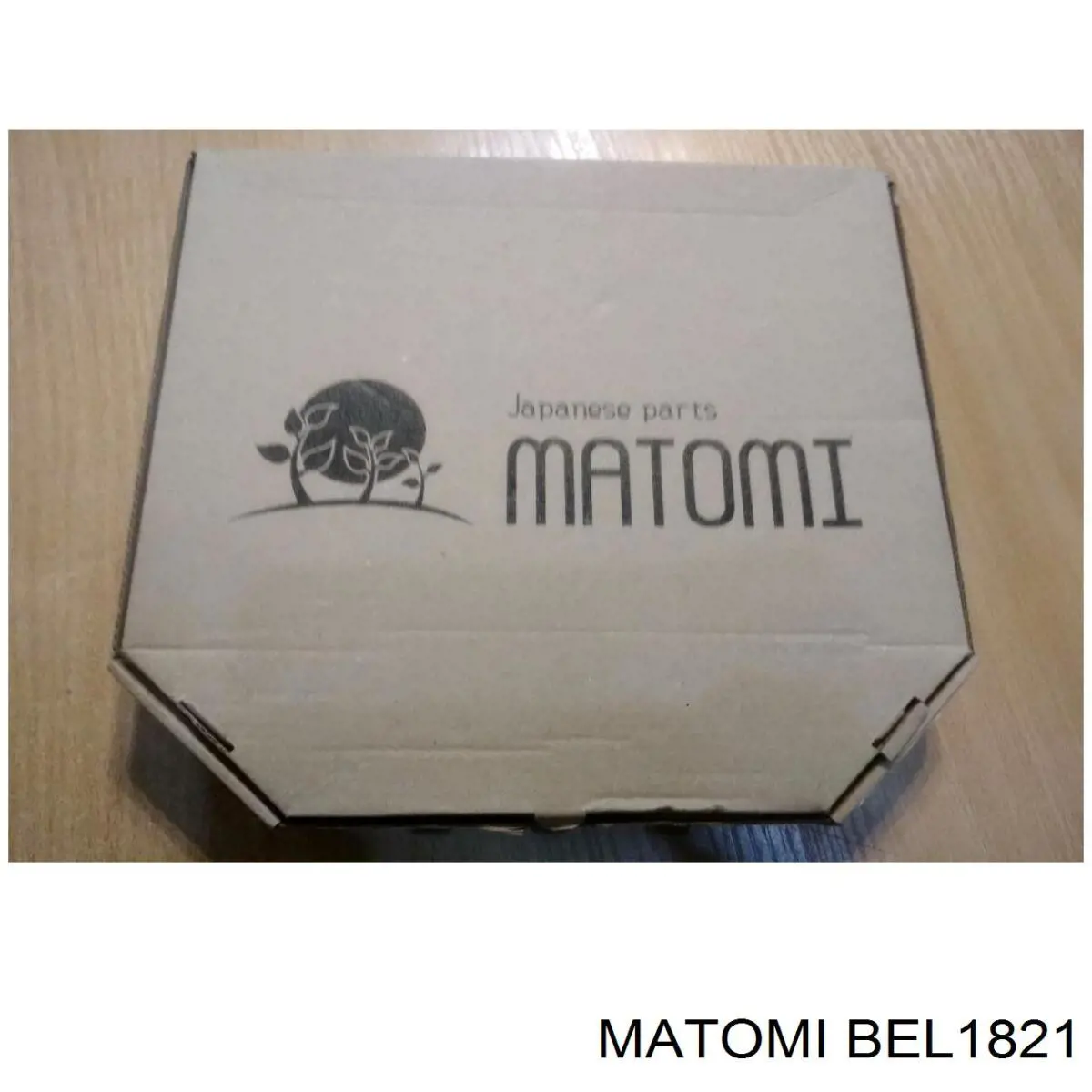 BEL1821 Matomi correa distribucion