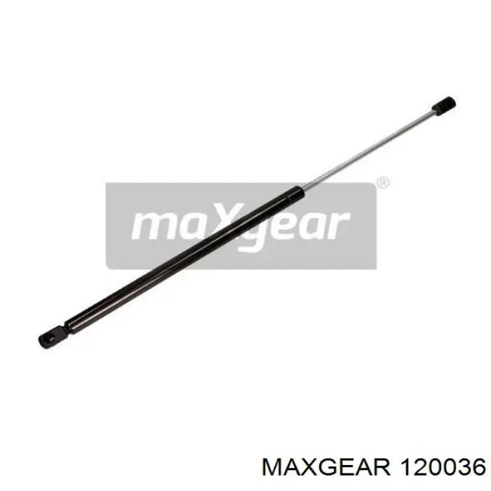 Muelle neumático, tapa delantera Doga 2000233 precio, desde 16,08 EUR