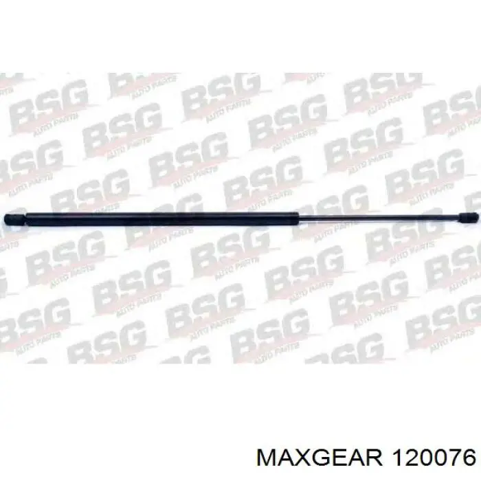 873100 Peugeot/Citroen Amortiguador de porton