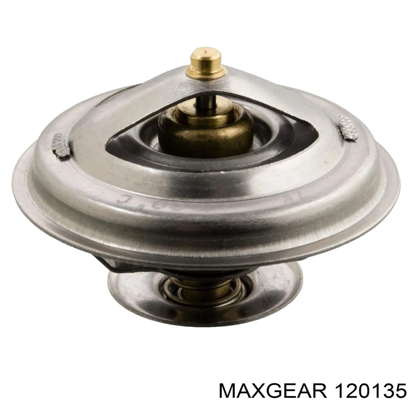 12-0135 Maxgear amortiguador de maletero