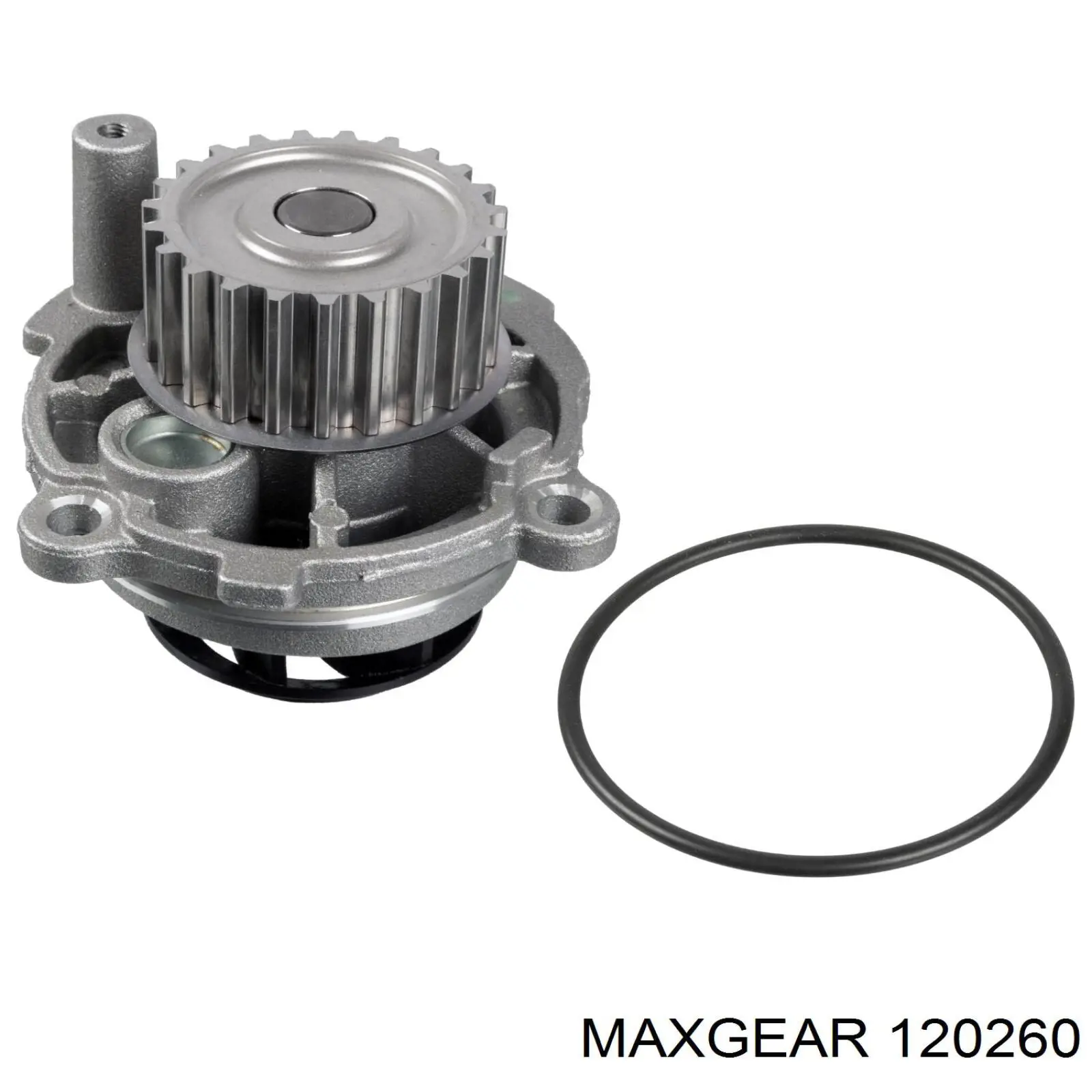 12-0260 Maxgear amortiguador de maletero