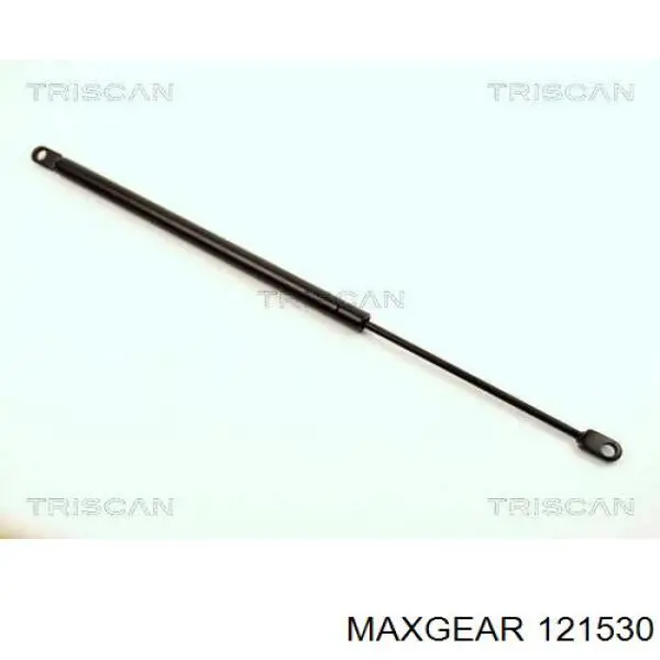 Comprar QTS840197 QUINTON HAZELL Amortiguador de capó