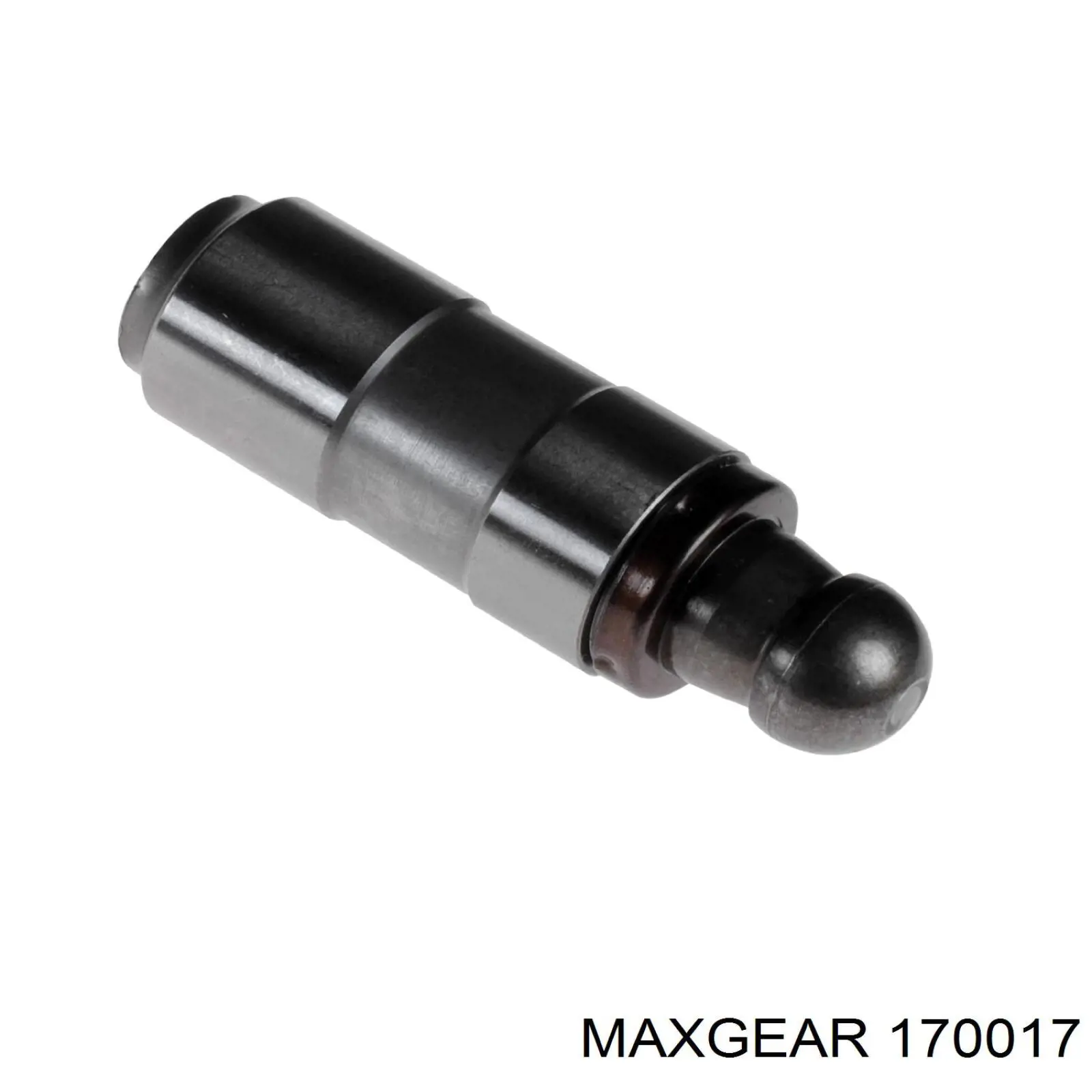 17-0017 Maxgear empujador de válvula