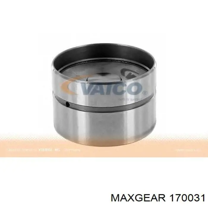 17-0031 Maxgear empujador de válvula