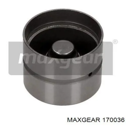 17-0036 Maxgear empujador de válvula