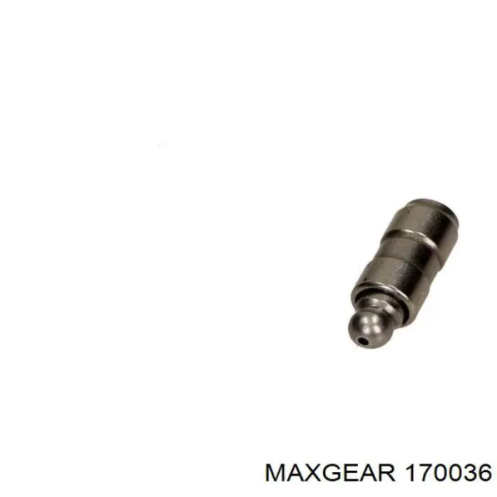 Taqués hidráulicos Maxgear 170036 precio, desde 8,36 EUR