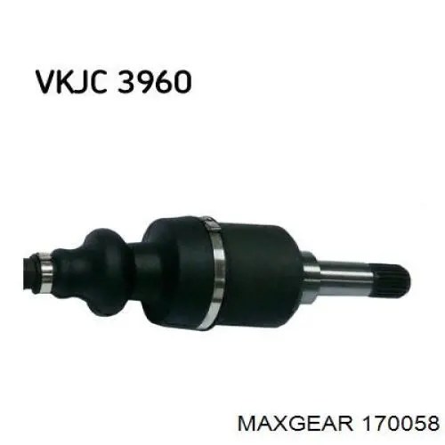 170058 Maxgear palanca oscilante, distribución del motor