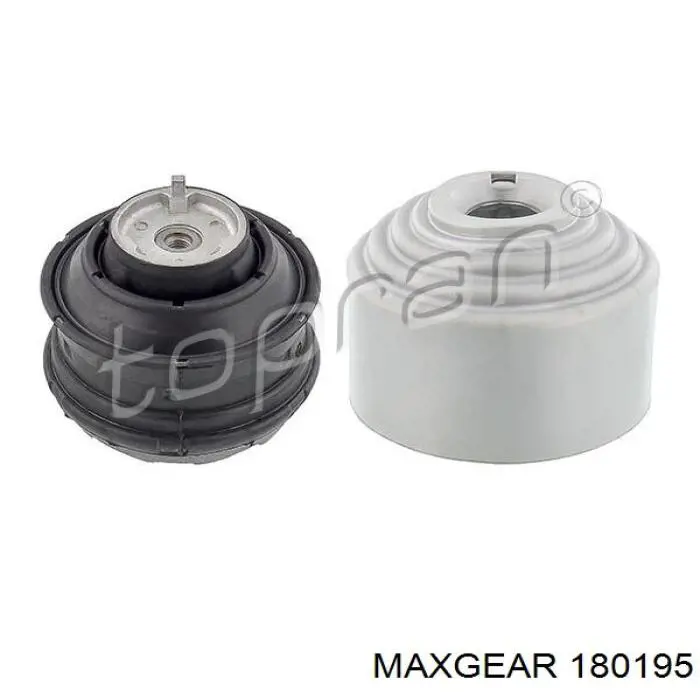 1114301300 VAG Manguera de refrigeración