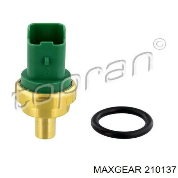 Sensor de temperatura del refrigerante Ford Fiesta JH, JD
