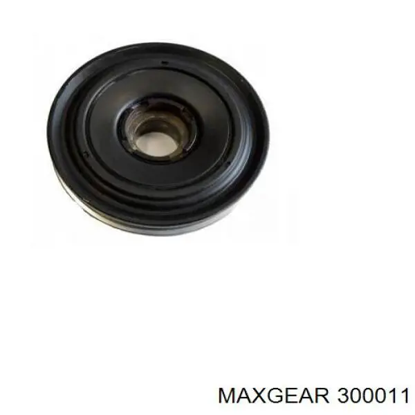300011 Maxgear