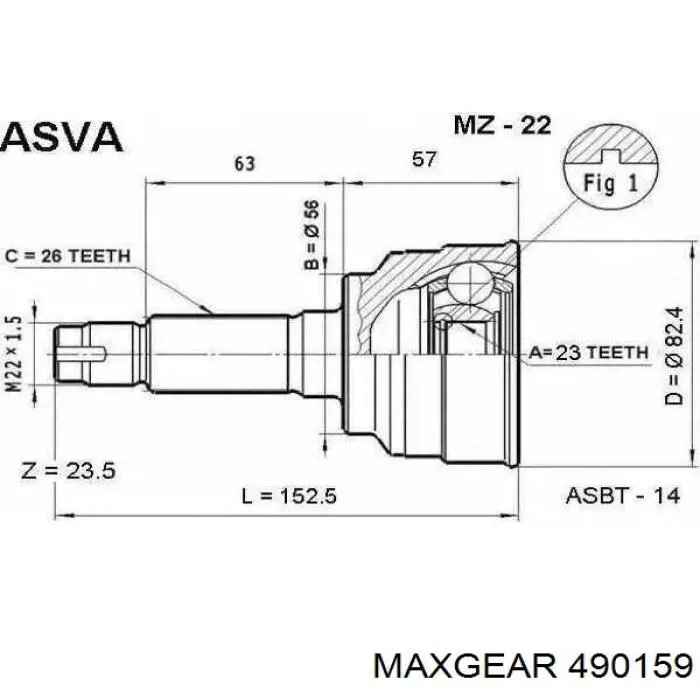 Junta homocinética exterior delantera Mazda 323 BG