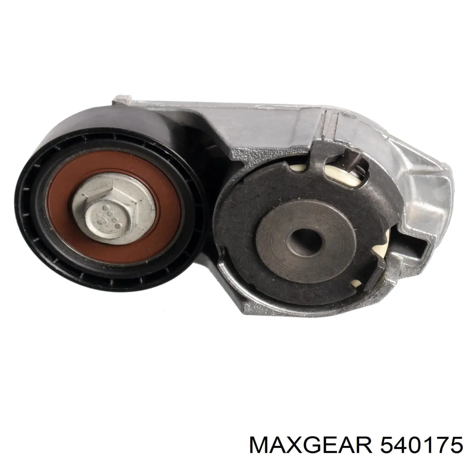 54-0175 Maxgear rodillo, correa trapecial poli v