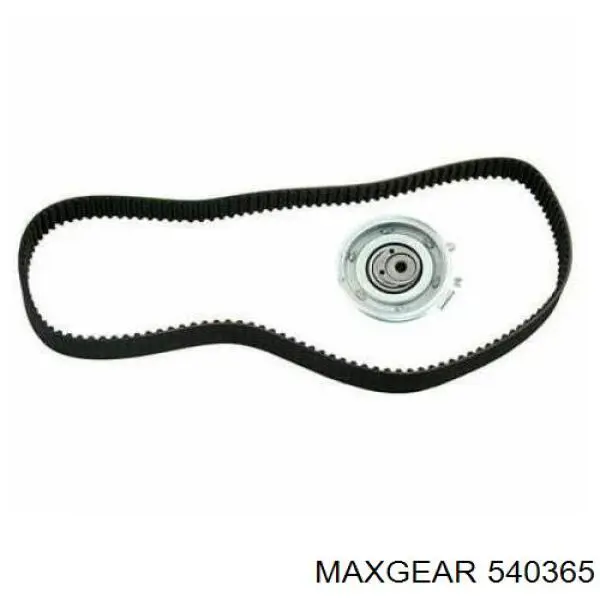 Tensor de la correa de distribución Maxgear 540365 precio, desde 25,94 EUR