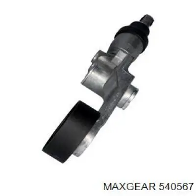 Tensor de correa, correa poli V Toyota Corolla E12