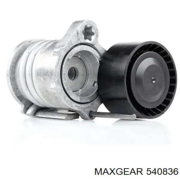 Tensor de la correa trapecial BMW 7790447 precio, desde 45,87 EUR