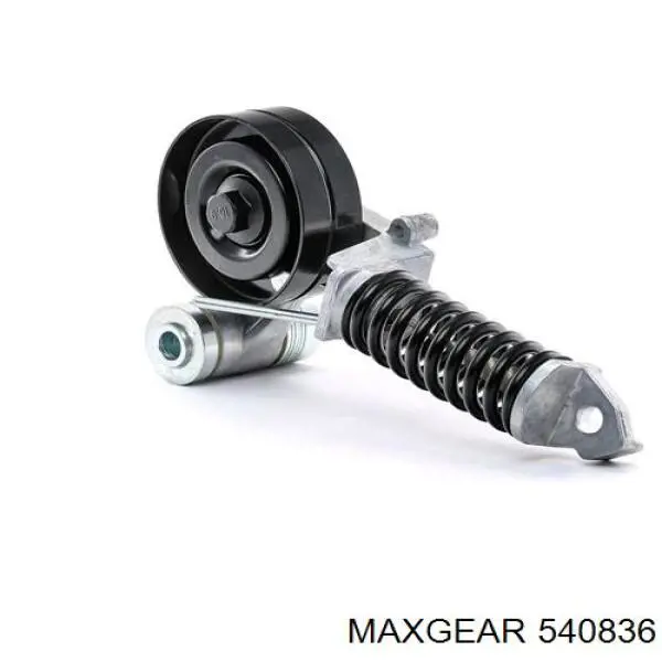 Tensor de correa poli V 7790447 BMW