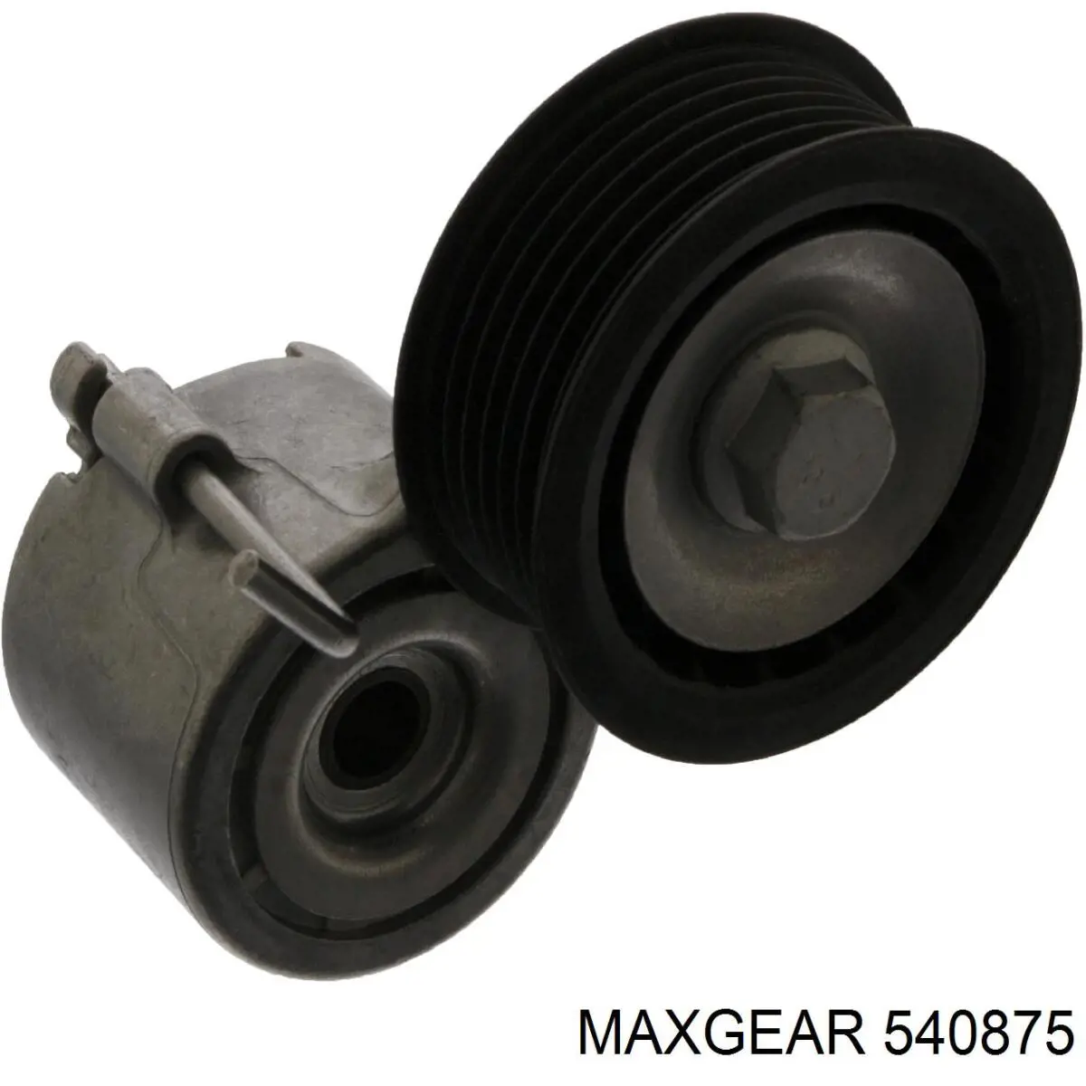 Rodillo, correa trapecial poli V Audi A8 D3 (4E2, 4E8)