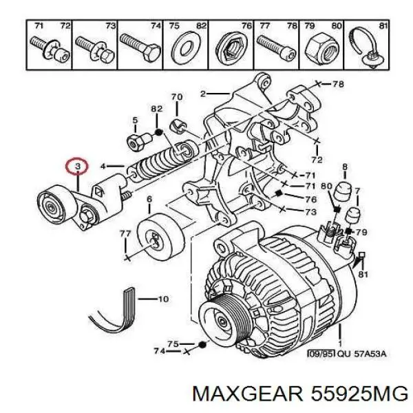 55925MG Maxgear tensor de correa, correa poli v