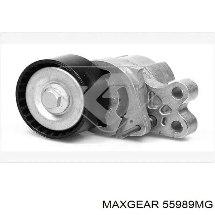 55989MG Maxgear tensor de correa, correa poli v