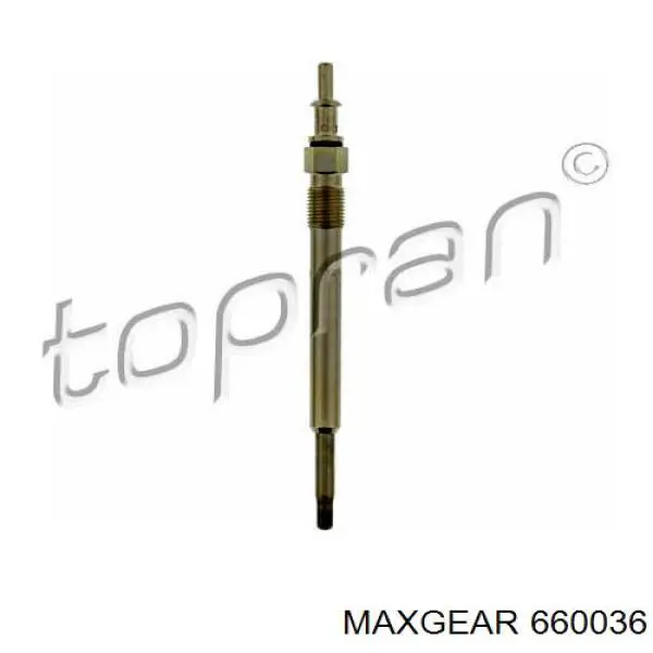 660036 Maxgear bujía de incandescencia