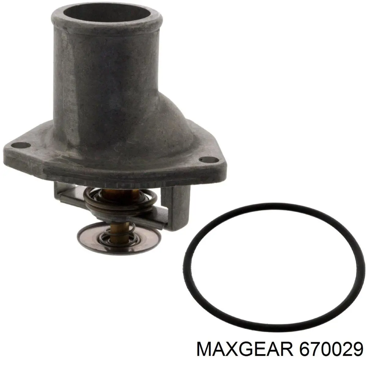 670029 Maxgear termostato, refrigerante