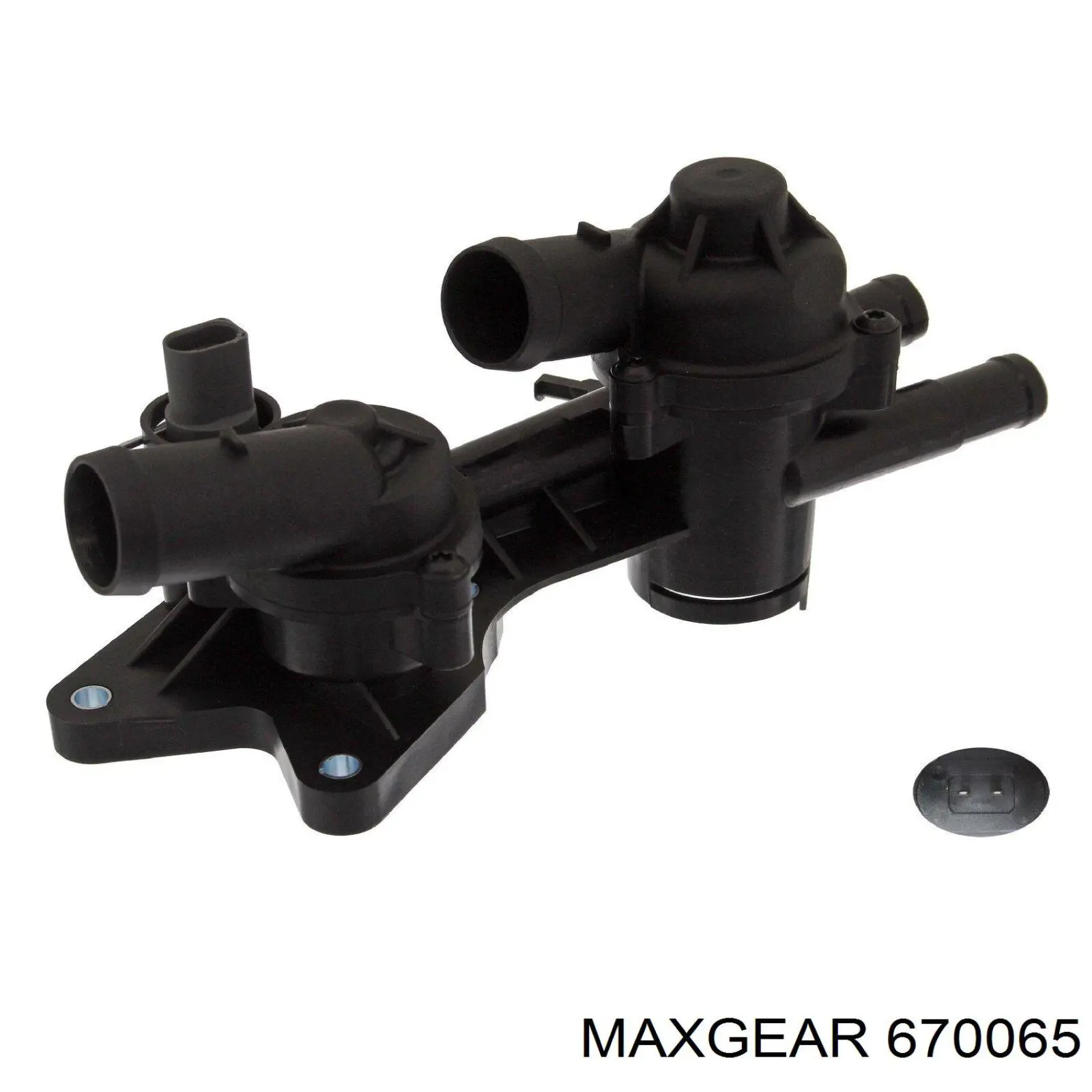 670065 Maxgear termostato, refrigerante