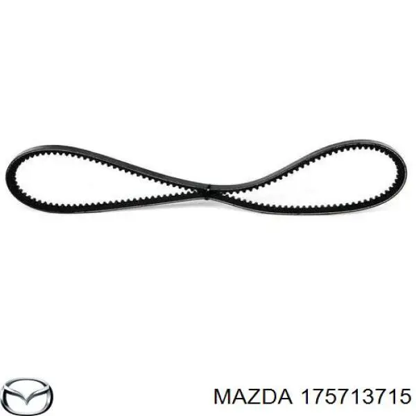 175713715 Mazda correa trapezoidal