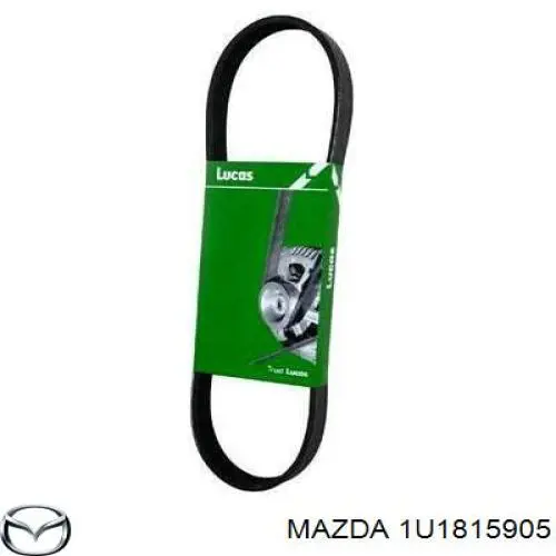 1U1815905 Mazda