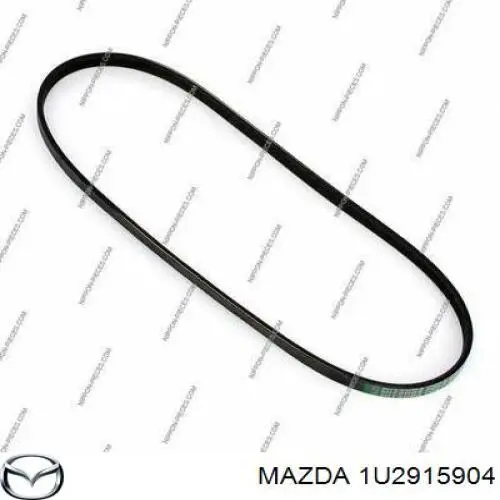 Comprar 1U2915904 Mazda Correa trapezoidal