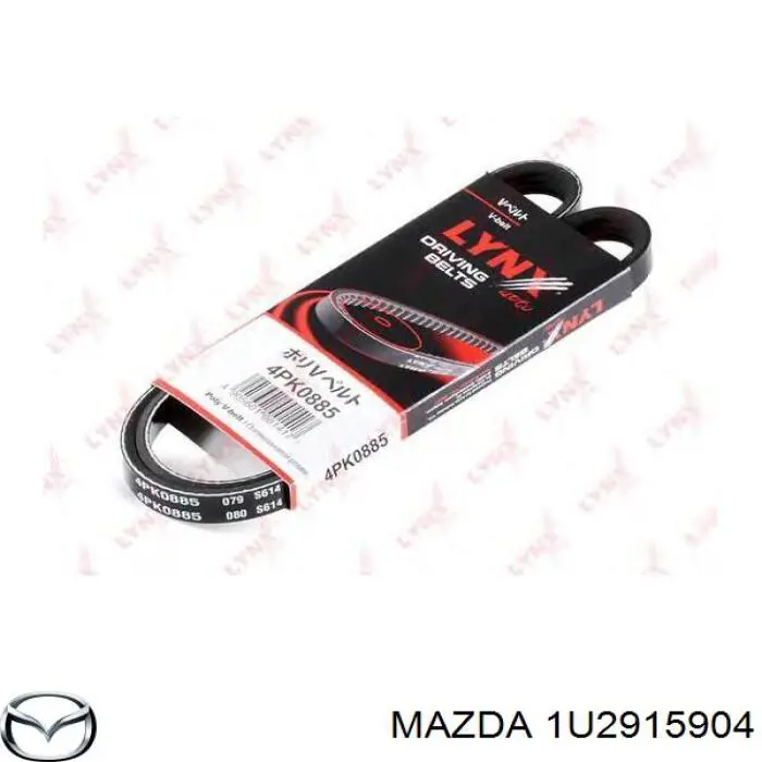 Correa de transmisión trapezoidal Mazda 1U2915904 precio, desde 10,36 EUR