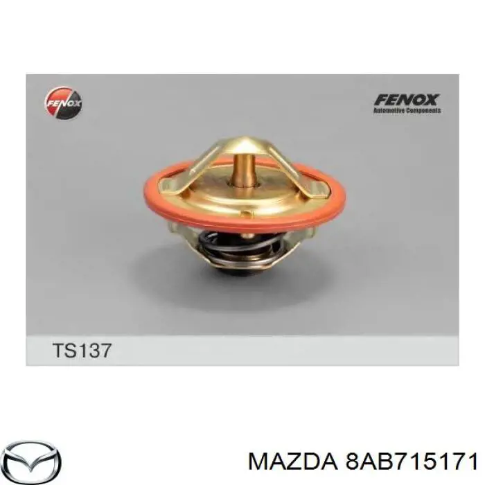 8AB715171 Mazda termostato